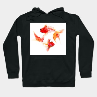 Two Koi Fish, Yin and yang Hoodie